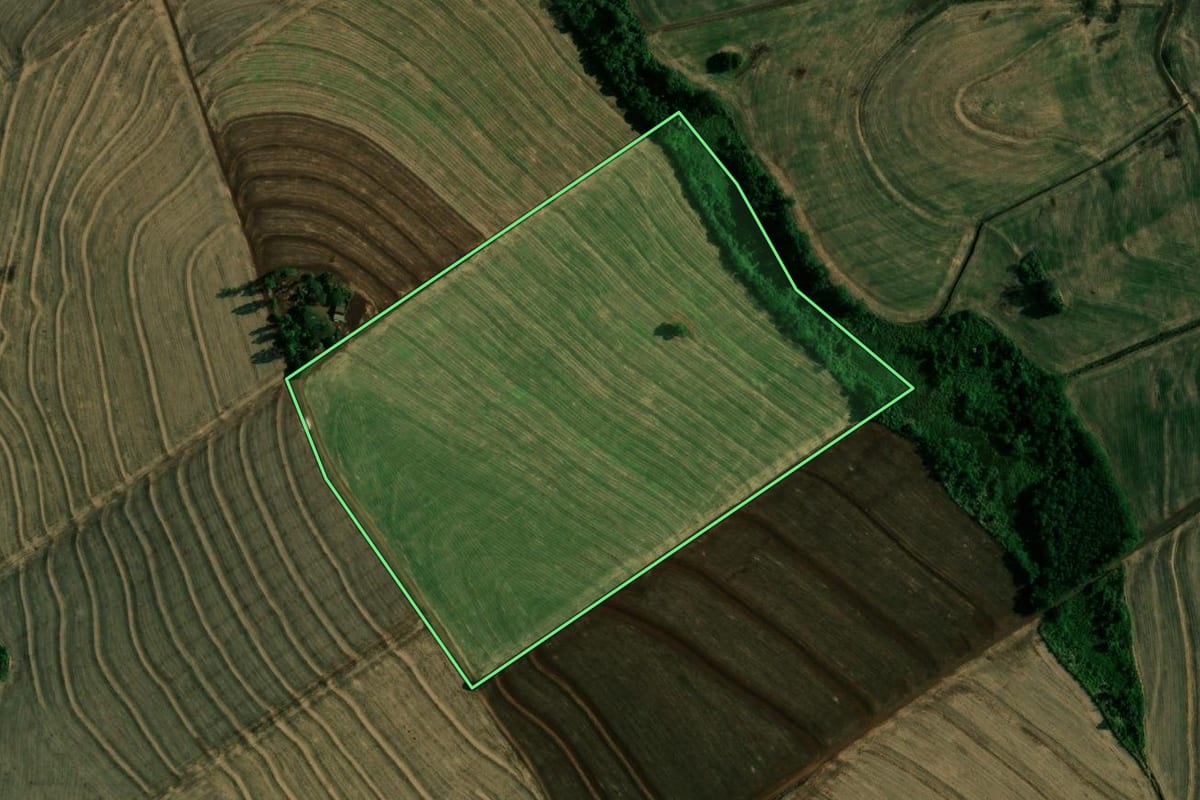 Imagem de satélite do imóvel rural em Engenheiro Beltrão (PR), com o contorno declarado no CAR desenhado por cima.