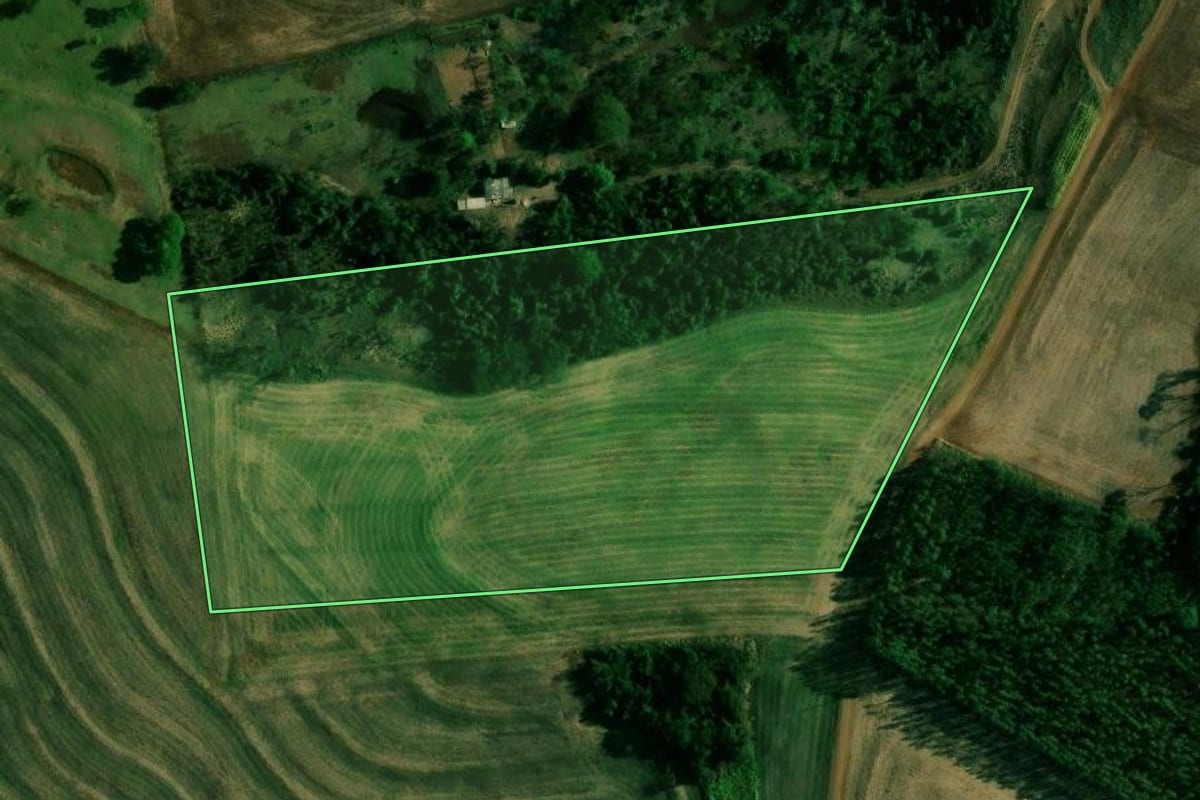 Imagem de satélite do imóvel rural em Engenheiro Beltrão (PR), com o contorno declarado no CAR desenhado por cima.