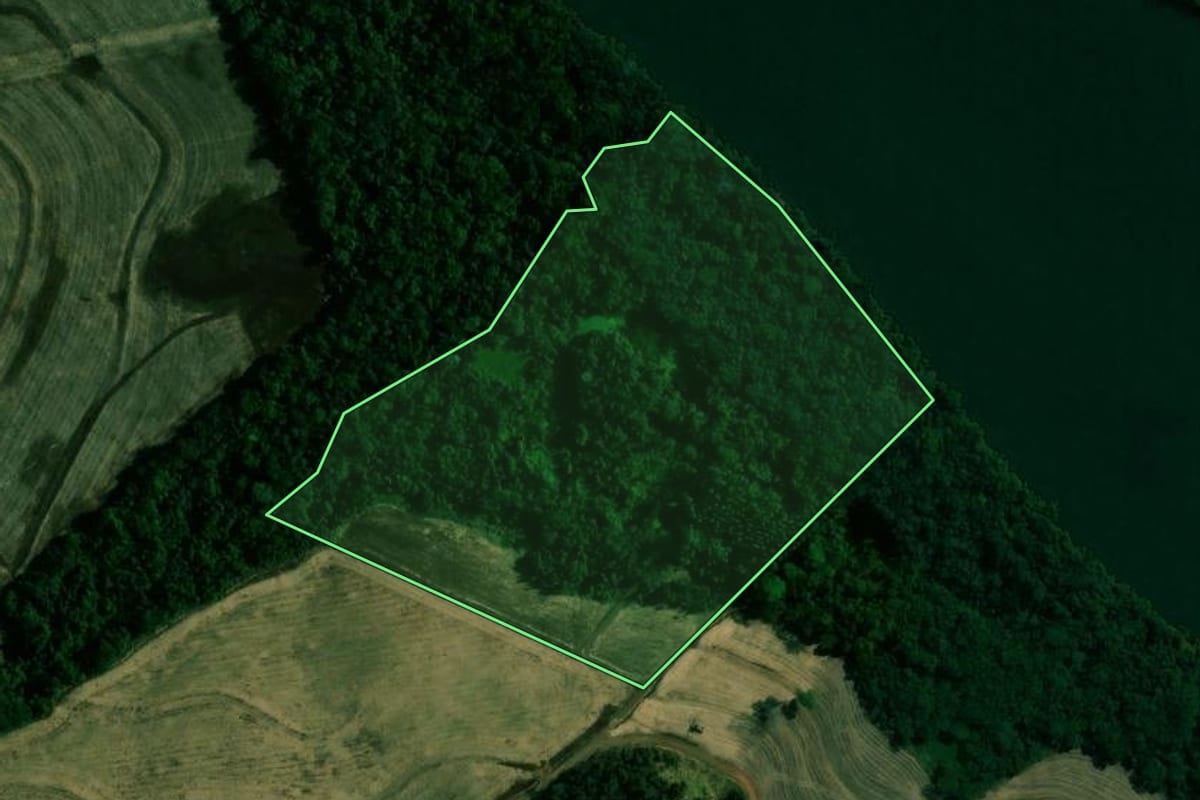 Imagem de satélite do imóvel rural em Engenheiro Beltrão (PR), com o contorno declarado no CAR desenhado por cima.
