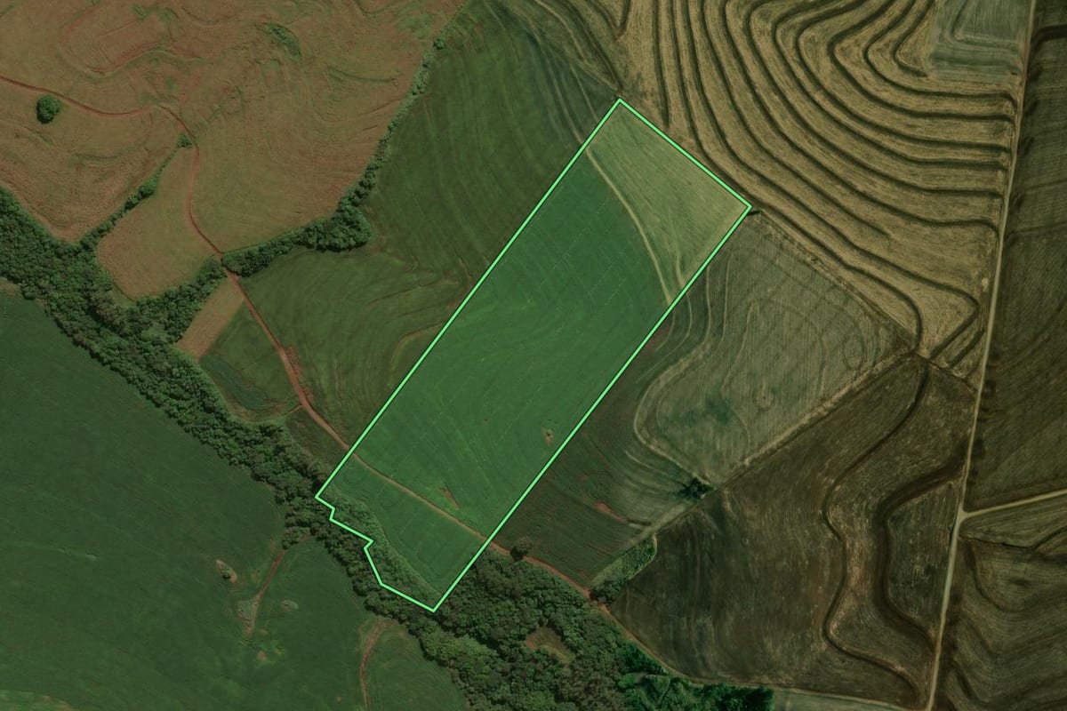 Imagem de satélite do imóvel rural em Engenheiro Beltrão (PR), com o contorno declarado no CAR desenhado por cima.