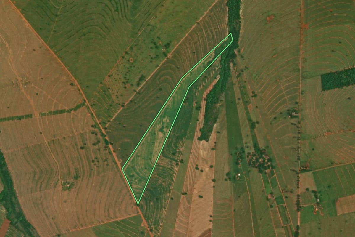 Imagem de satélite do imóvel rural em Esperança Nova (PR), com o contorno declarado no CAR desenhado por cima.