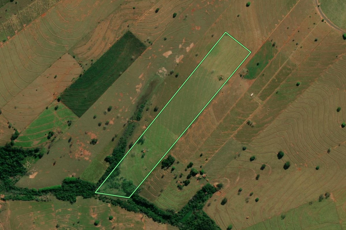 Imagem de satélite do imóvel rural em Esperança Nova (PR), com o contorno declarado no CAR desenhado por cima.