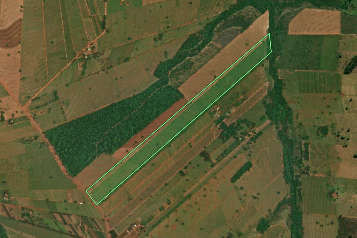 Imagem de satélite do imóvel rural em Esperança Nova (PR), com o contorno declarado no CAR desenhado por cima.