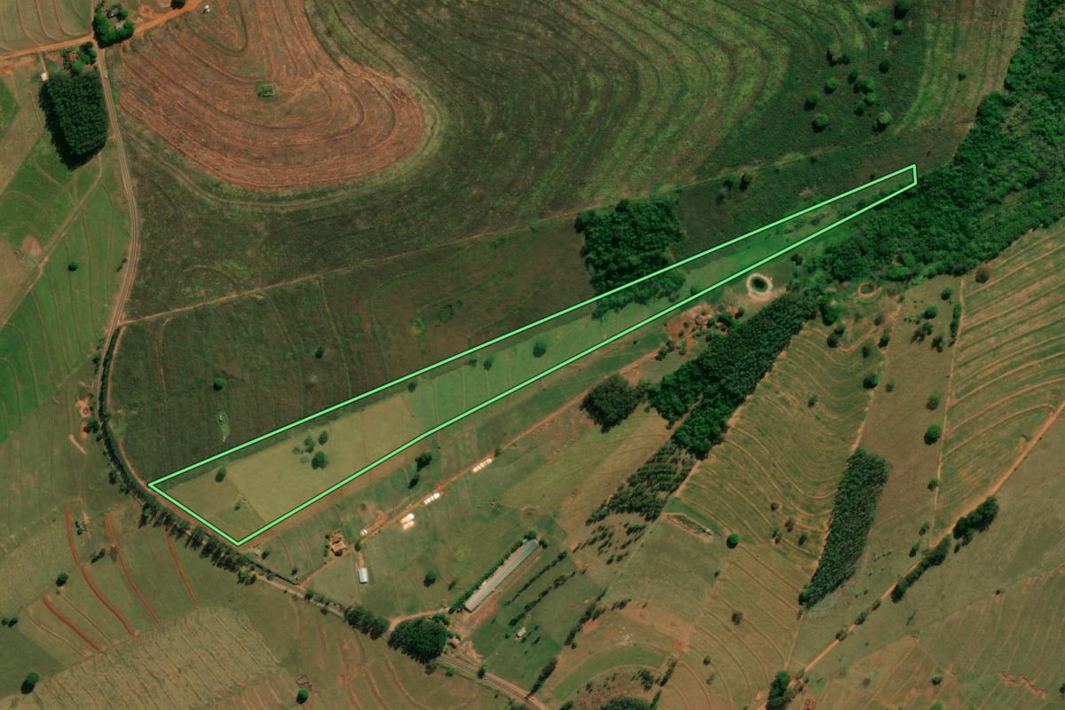 Imagem de satélite do imóvel rural em Esperança Nova (PR), com o contorno declarado no CAR desenhado por cima.