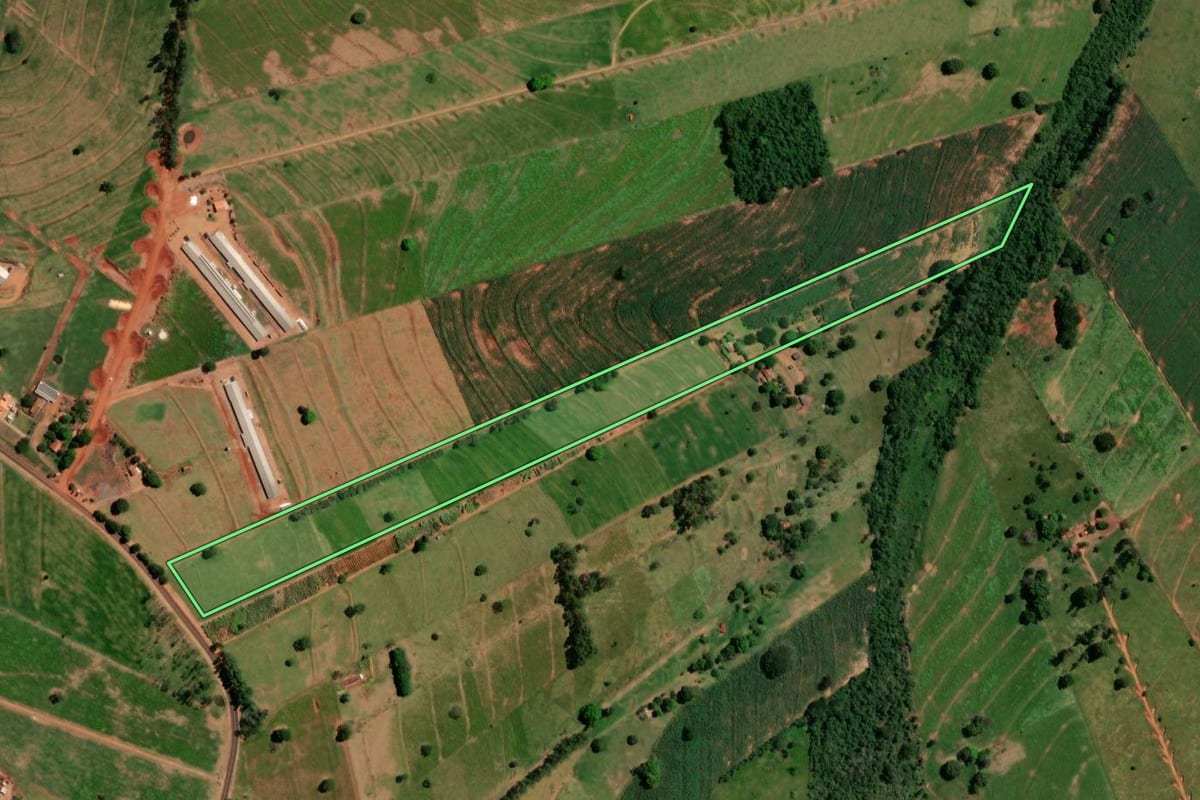 Imagem de satélite do imóvel rural em Esperança Nova (PR), com o contorno declarado no CAR desenhado por cima.