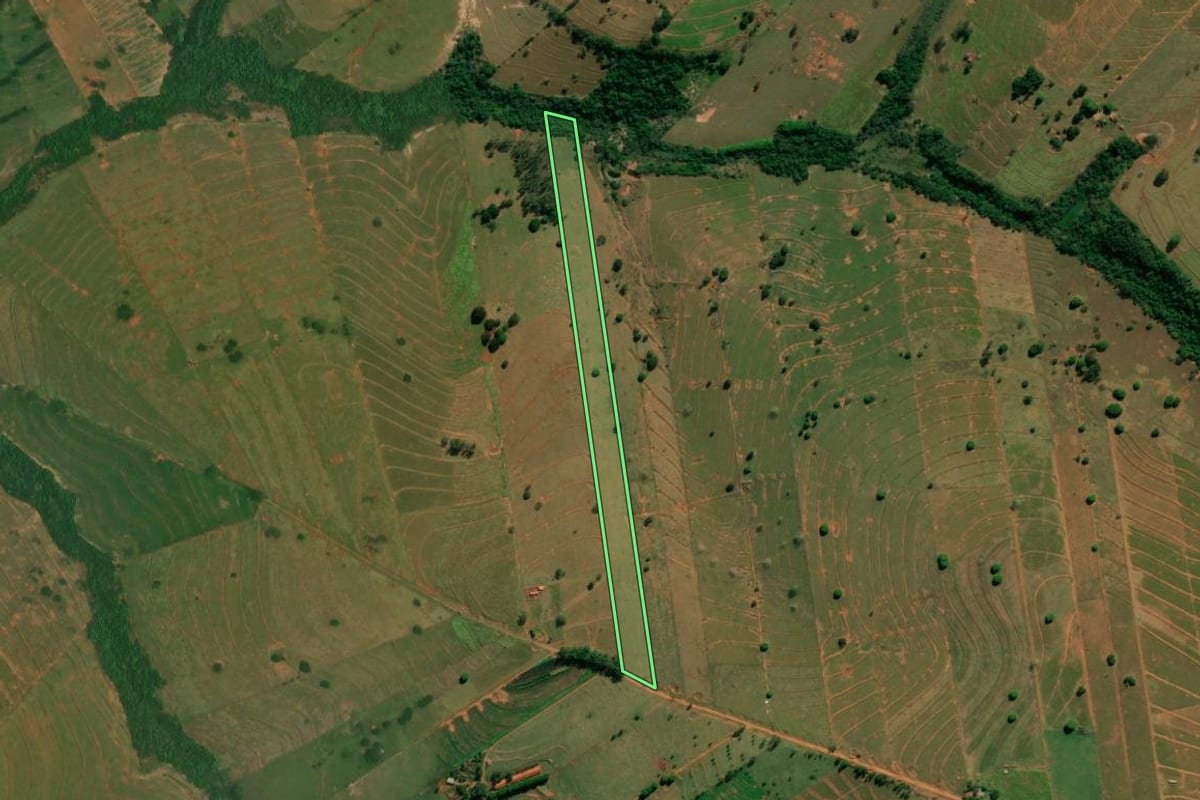 Imagem de satélite do imóvel rural em Esperança Nova (PR), com o contorno declarado no CAR desenhado por cima.