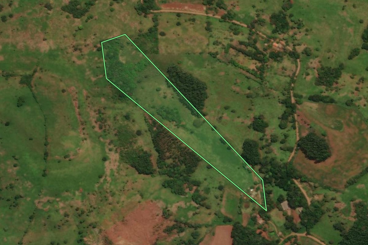 Imagem de satélite do imóvel rural em Espigão Alto do Iguaçu (PR), com o contorno declarado no CAR desenhado por cima.