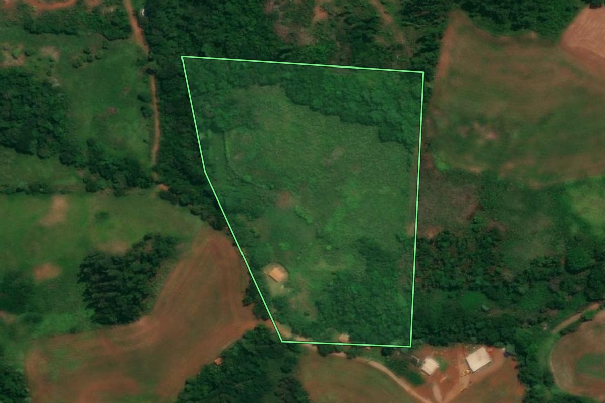 Imagem de satélite do imóvel rural em Espigão Alto do Iguaçu (PR), com o contorno declarado no CAR desenhado por cima.
