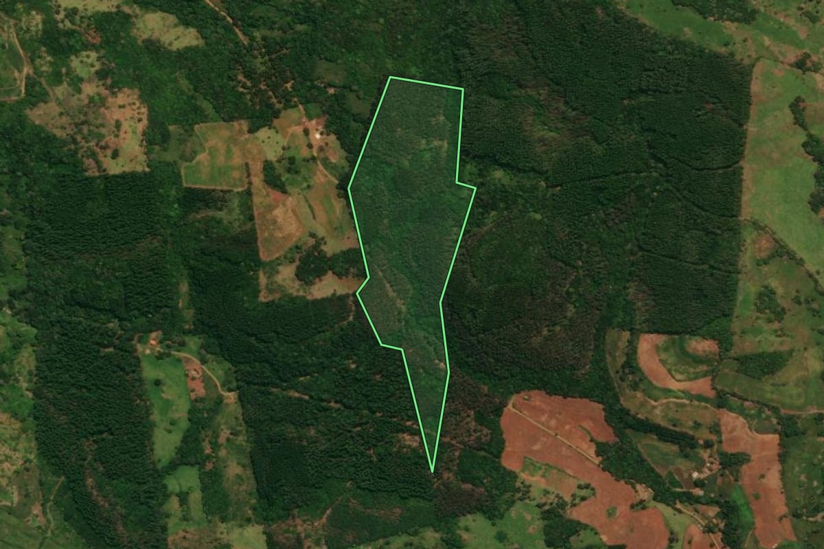Imagem de satélite do imóvel rural em Espigão Alto do Iguaçu (PR), com o contorno declarado no CAR desenhado por cima.