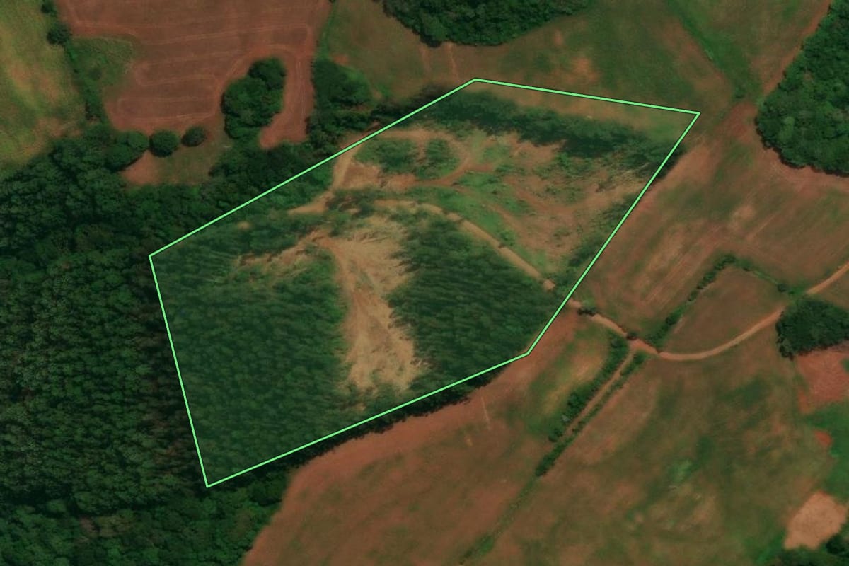 Imagem de satélite do imóvel rural em Espigão Alto do Iguaçu (PR), com o contorno declarado no CAR desenhado por cima.