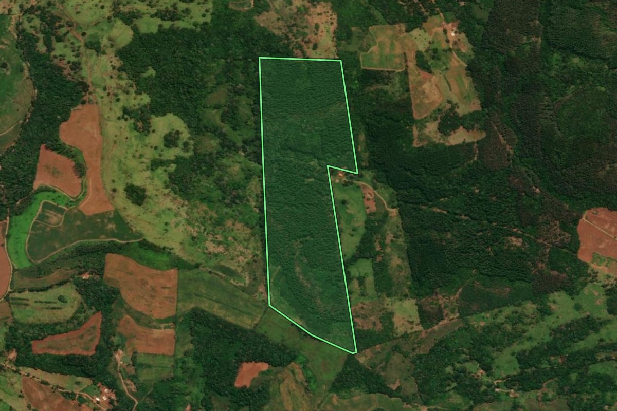 Imagem de satélite do imóvel rural em Espigão Alto do Iguaçu (PR), com o contorno declarado no CAR desenhado por cima.