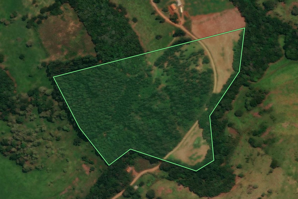 Imagem de satélite do imóvel rural em Espigão Alto do Iguaçu (PR), com o contorno declarado no CAR desenhado por cima.