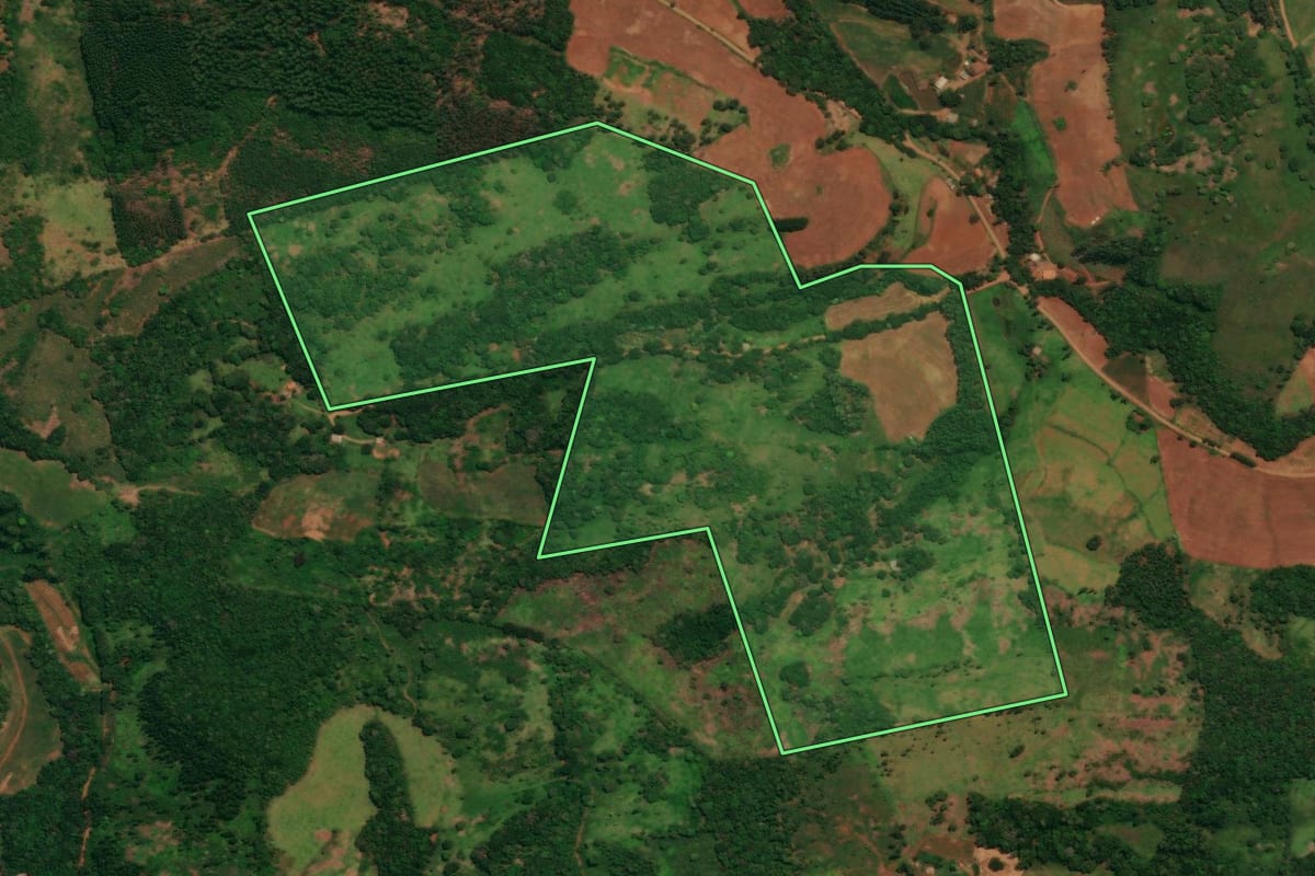 Imagem de satélite do imóvel rural em Espigão Alto do Iguaçu (PR), com o contorno declarado no CAR desenhado por cima.