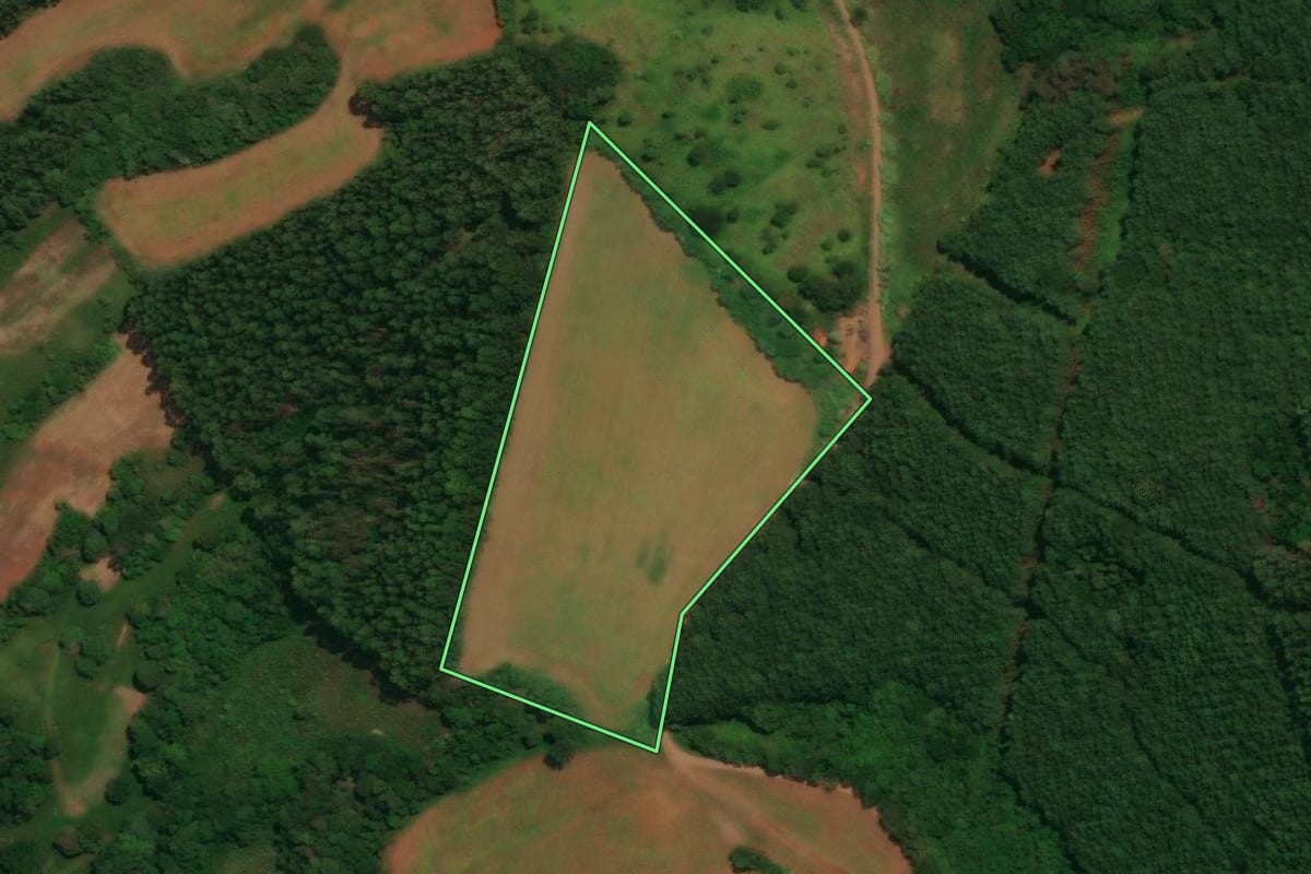 Imagem de satélite do imóvel rural em Espigão Alto do Iguaçu (PR), com o contorno declarado no CAR desenhado por cima.