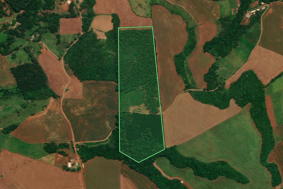 Imagem de satélite do imóvel rural em Espigão Alto do Iguaçu (PR), com o contorno declarado no CAR desenhado por cima.