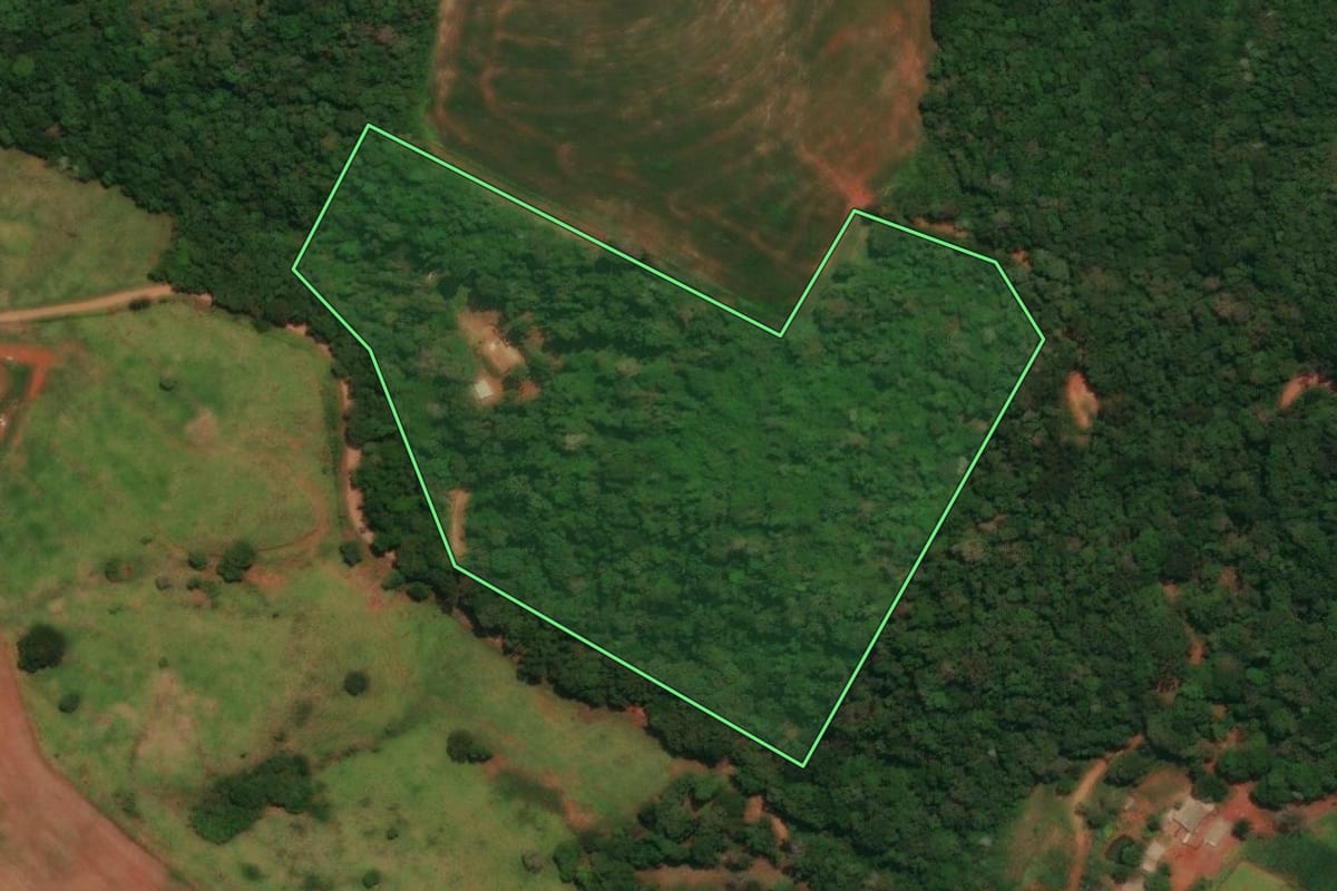 Imagem de satélite do imóvel rural em Espigão Alto do Iguaçu (PR), com o contorno declarado no CAR desenhado por cima.