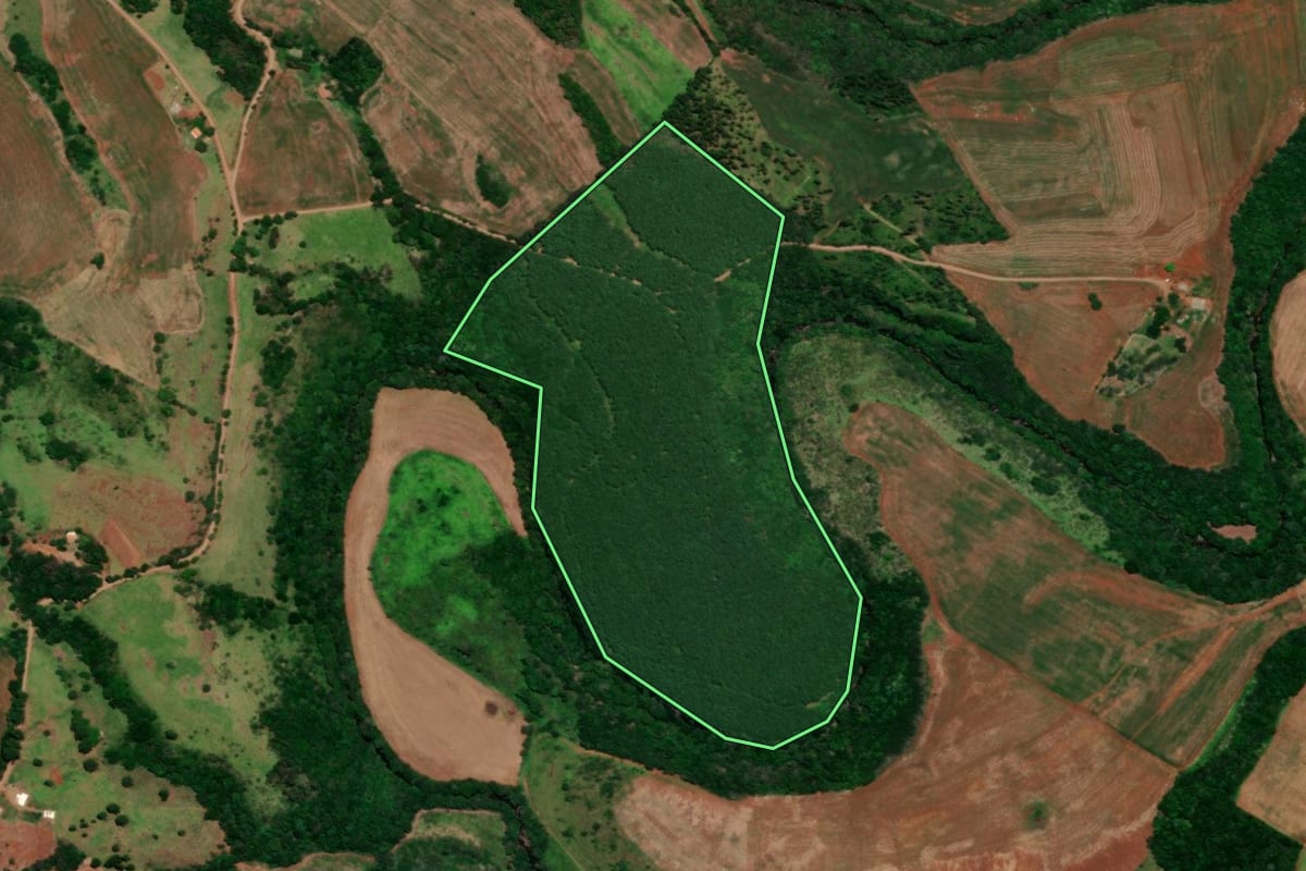 Imagem de satélite do imóvel rural em Espigão Alto do Iguaçu (PR), com o contorno declarado no CAR desenhado por cima.