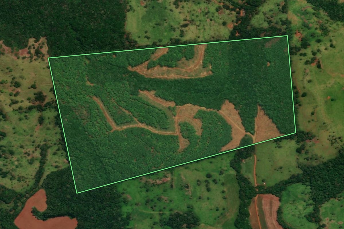 Imagem de satélite do imóvel rural em Espigão Alto do Iguaçu (PR), com o contorno declarado no CAR desenhado por cima.
