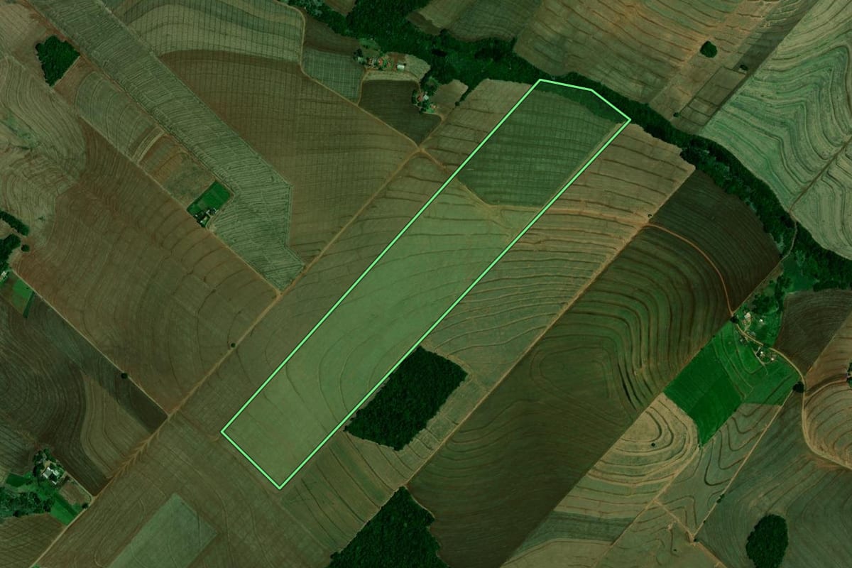 Imagem de satélite do imóvel rural em Farol (PR), com o contorno declarado no CAR desenhado por cima.