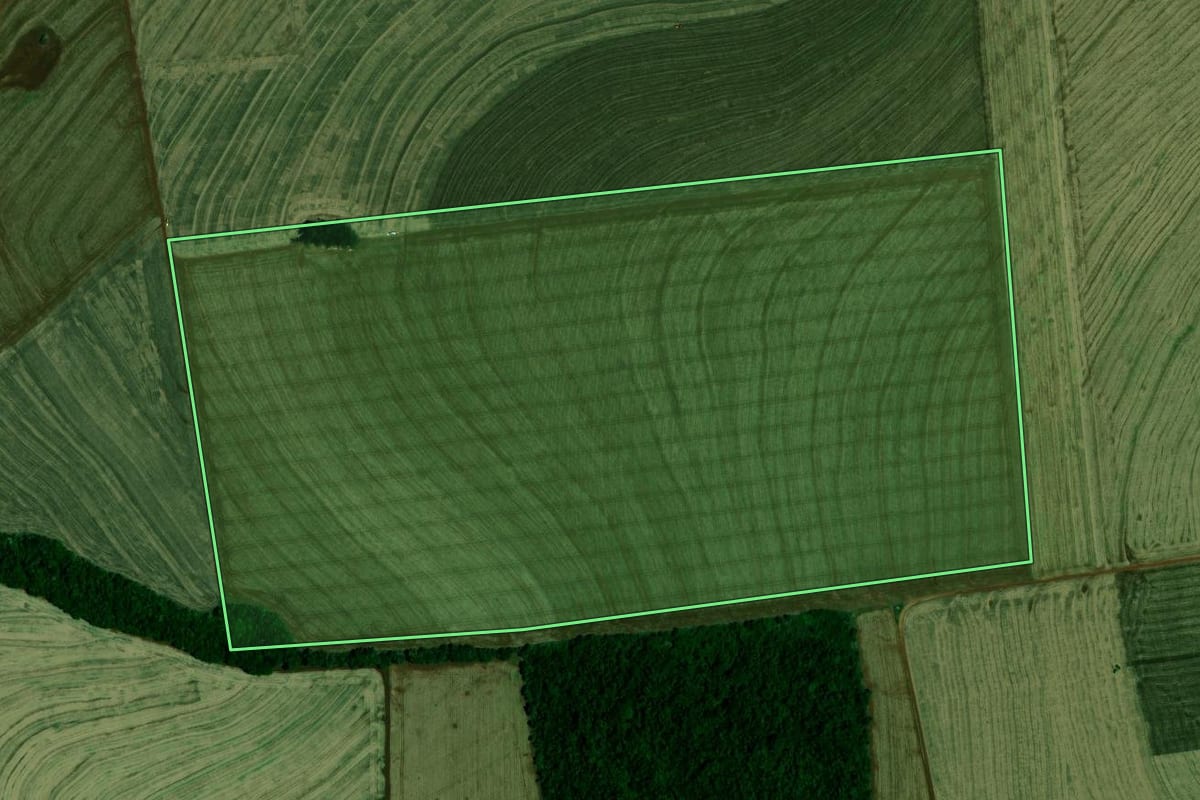 Imagem de satélite do imóvel rural em Farol (PR), com o contorno declarado no CAR desenhado por cima.