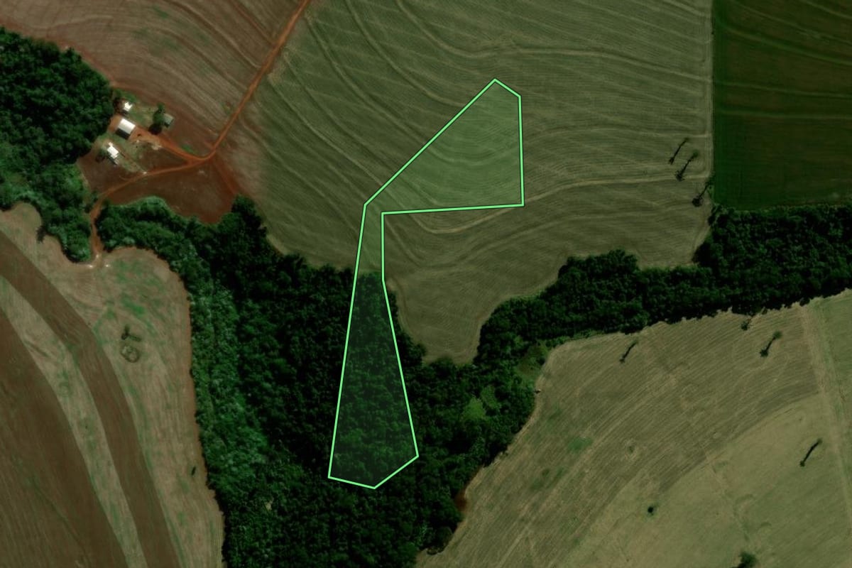 Imagem de satélite do imóvel rural em Farol (PR), com o contorno declarado no CAR desenhado por cima.