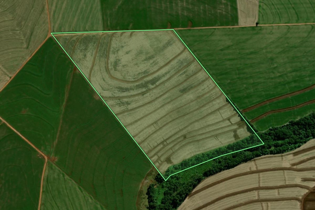 Imagem de satélite do imóvel rural em Farol (PR), com o contorno declarado no CAR desenhado por cima.