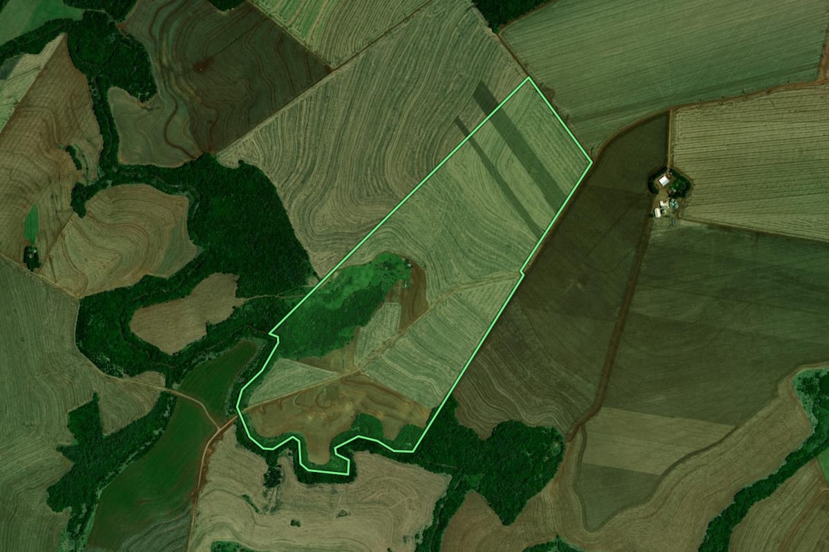Imagem de satélite do imóvel rural em Farol (PR), com o contorno declarado no CAR desenhado por cima.