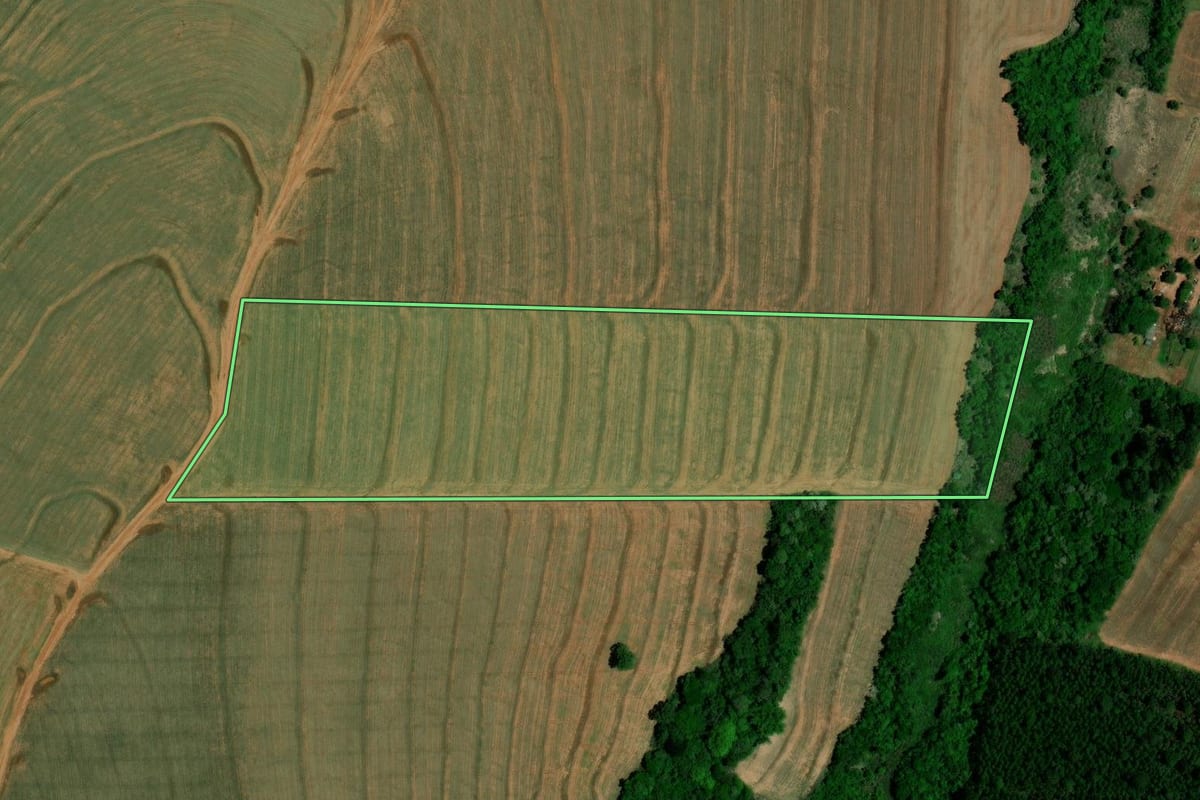 Imagem de satélite do imóvel rural em Farol (PR), com o contorno declarado no CAR desenhado por cima.