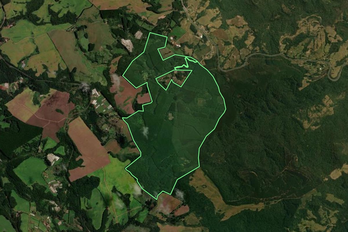 Imagem de satélite do imóvel rural em Faxinal (PR), com o contorno declarado no CAR desenhado por cima.