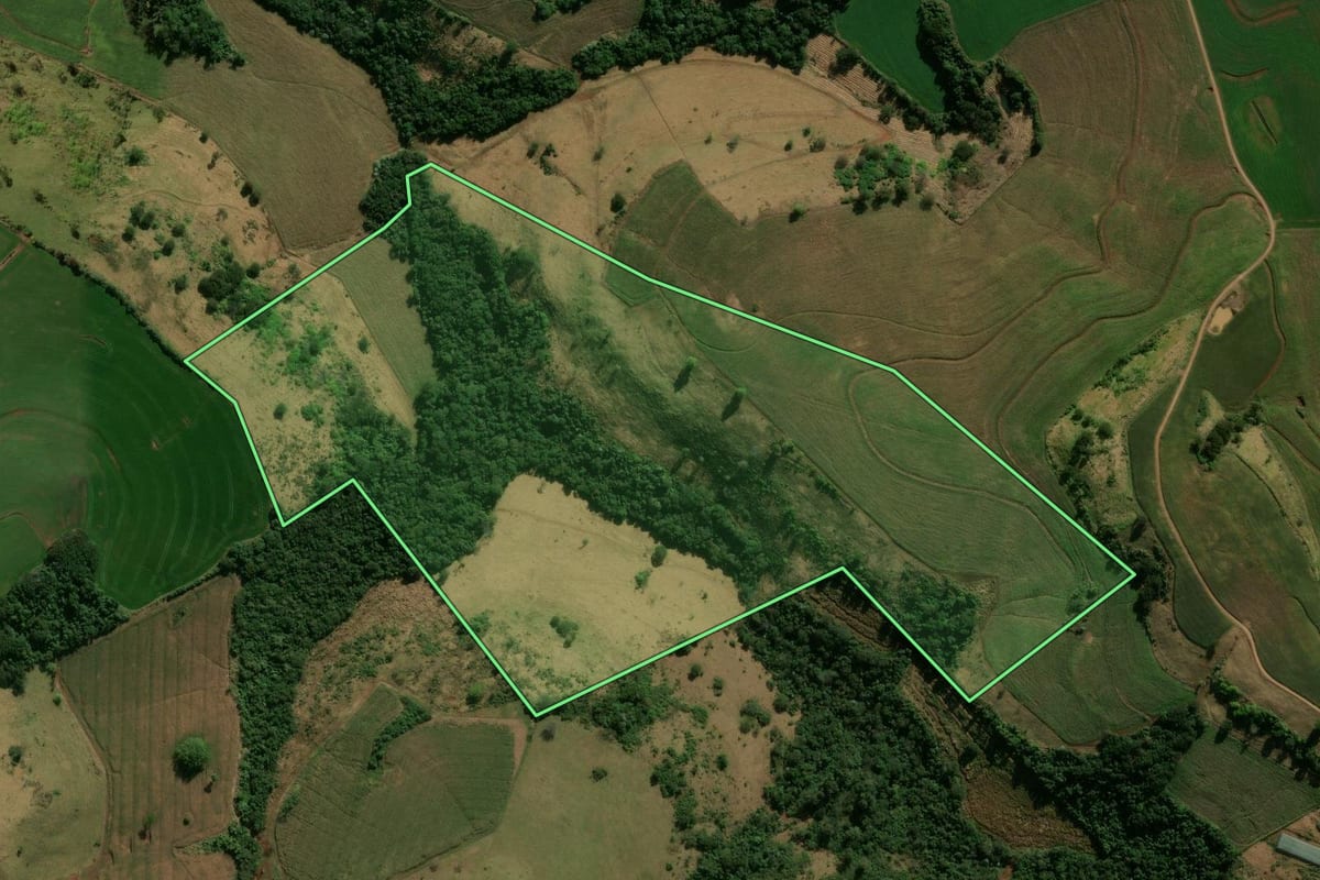 Imagem de satélite do imóvel rural em Faxinal (PR), com o contorno declarado no CAR desenhado por cima.