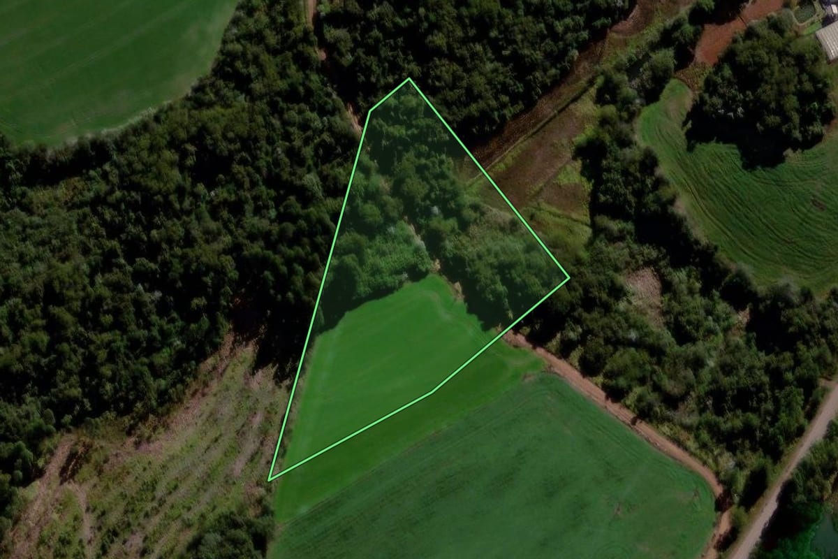 Imagem de satélite do imóvel rural em Faxinal (PR), com o contorno declarado no CAR desenhado por cima.