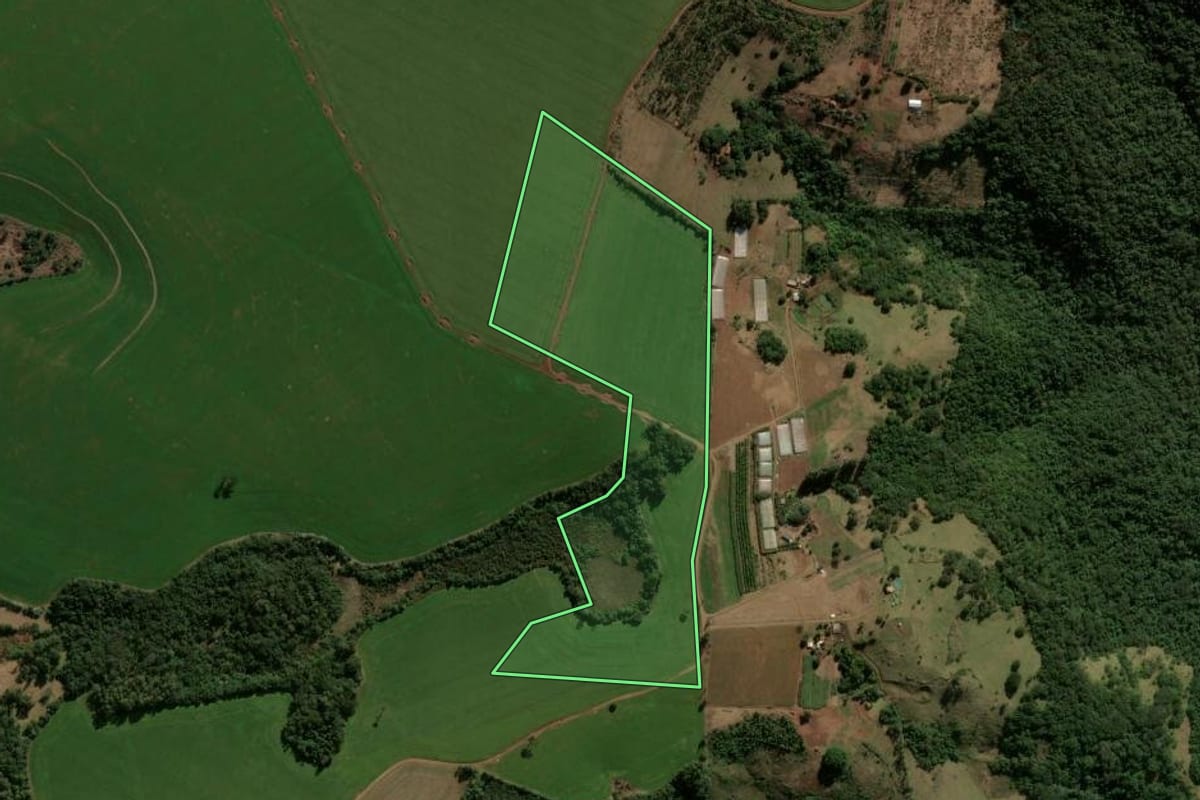 Imagem de satélite do imóvel rural em Faxinal (PR), com o contorno declarado no CAR desenhado por cima.
