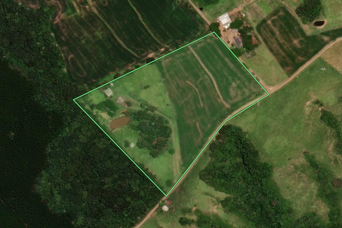Imagem de satélite do imóvel rural em Faxinal (PR), com o contorno declarado no CAR desenhado por cima.