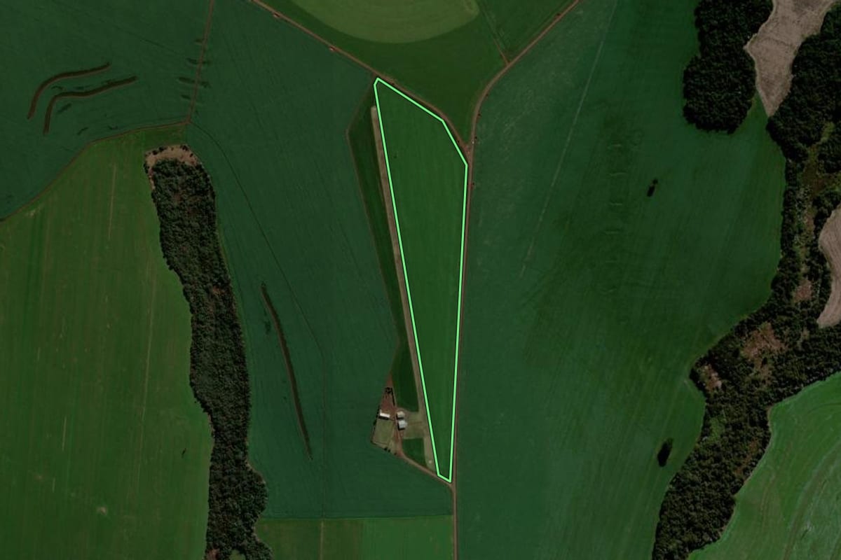 Imagem de satélite do imóvel rural em Faxinal (PR), com o contorno declarado no CAR desenhado por cima.