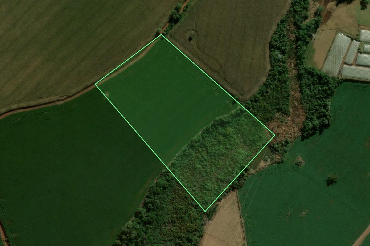 Imagem de satélite do imóvel rural em Faxinal (PR), com o contorno declarado no CAR desenhado por cima.