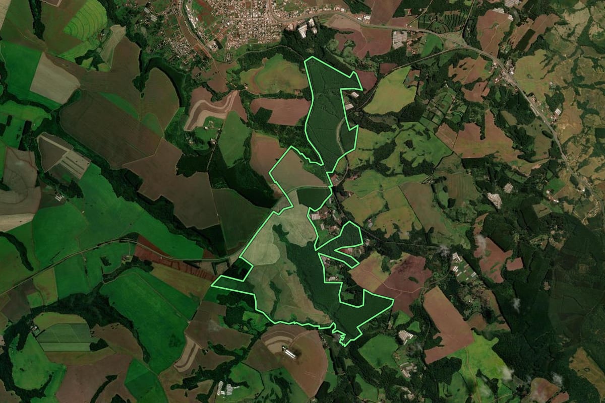 Imagem de satélite do imóvel rural em Faxinal (PR), com o contorno declarado no CAR desenhado por cima.