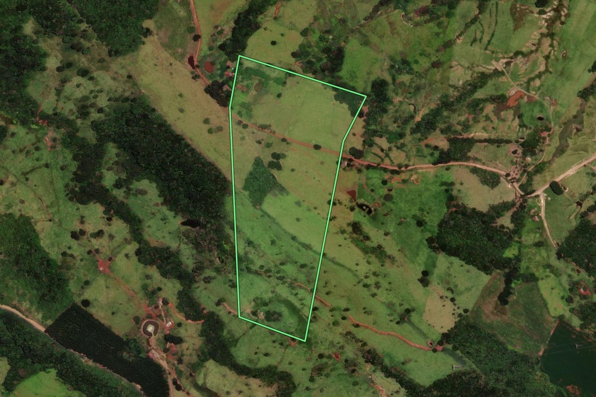 Imagem de satélite do imóvel rural em Faxinal (PR), com o contorno declarado no CAR desenhado por cima.