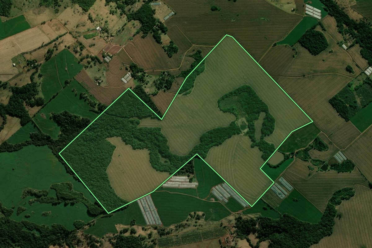 Imagem de satélite do imóvel rural em Faxinal (PR), com o contorno declarado no CAR desenhado por cima.
