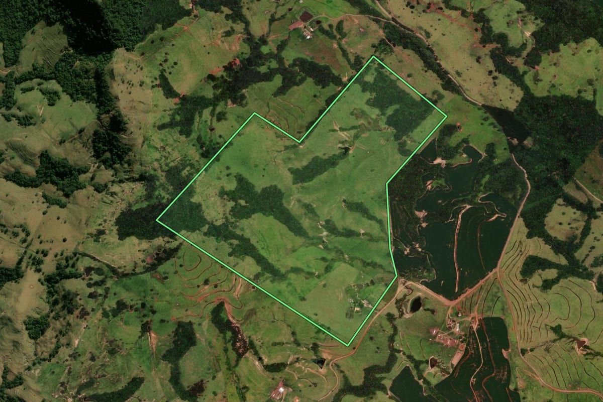 Imagem de satélite do imóvel rural em Faxinal (PR), com o contorno declarado no CAR desenhado por cima.