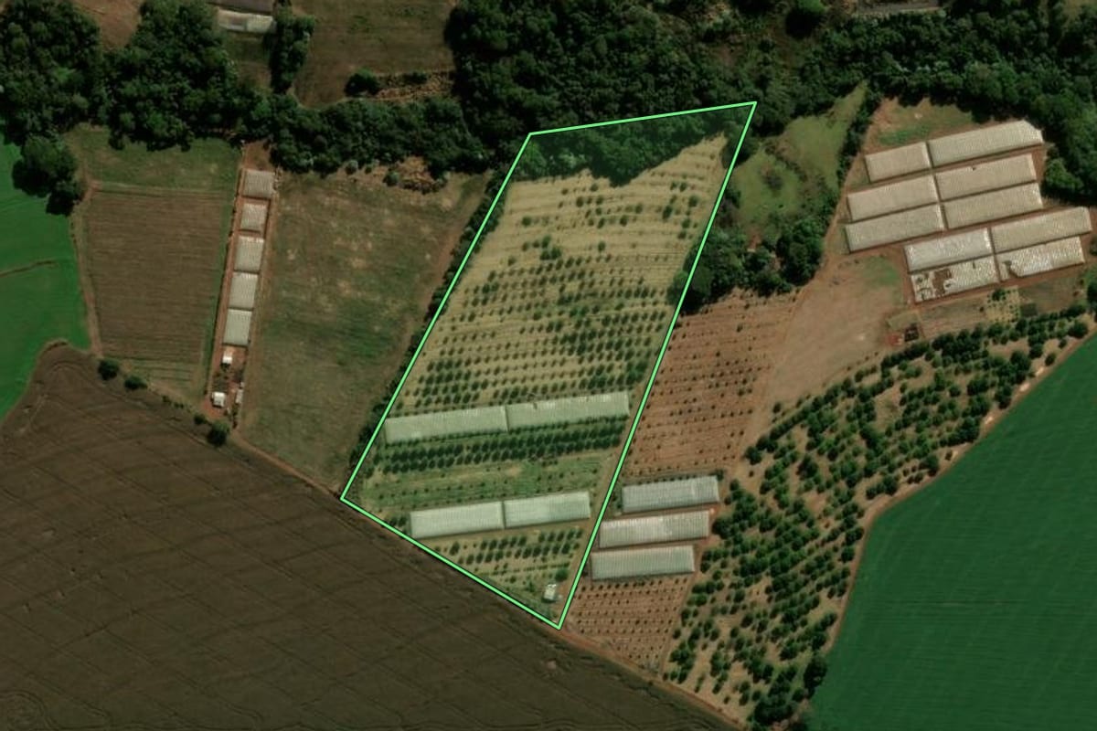 Imagem de satélite do imóvel rural em Faxinal (PR), com o contorno declarado no CAR desenhado por cima.