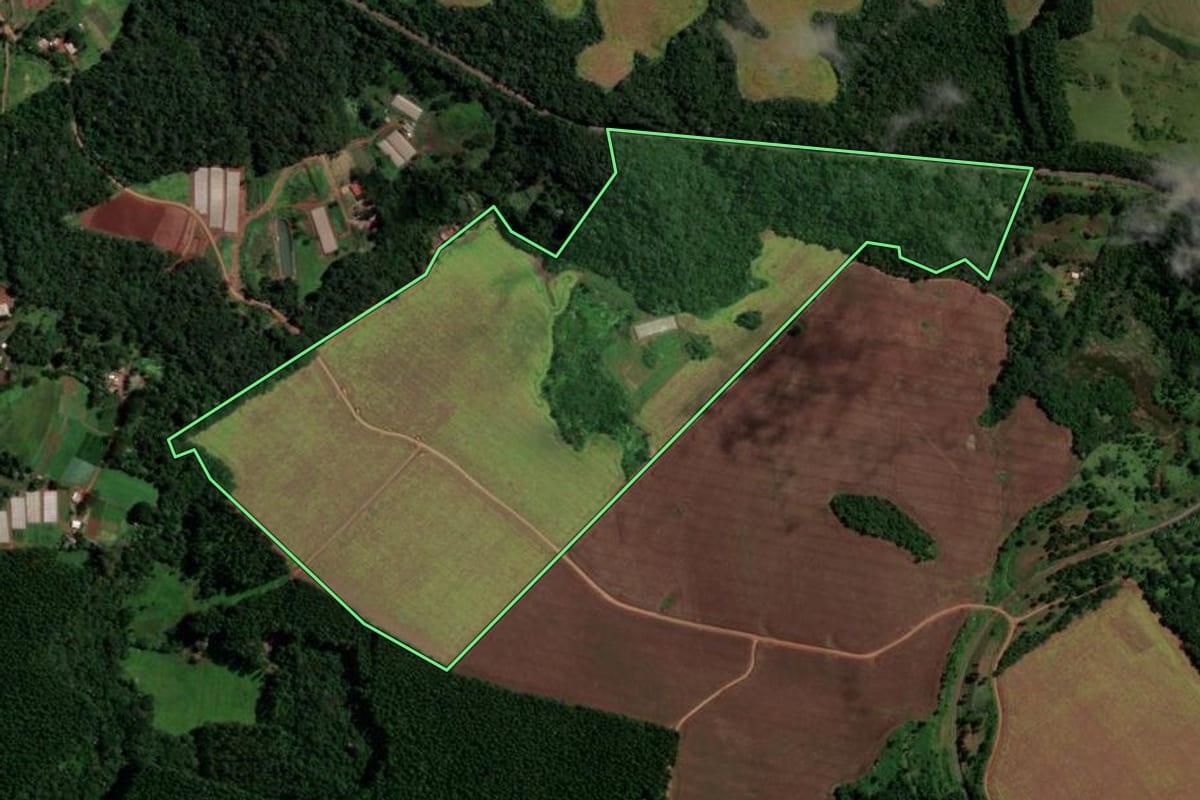 Imagem de satélite do imóvel rural em Faxinal (PR), com o contorno declarado no CAR desenhado por cima.