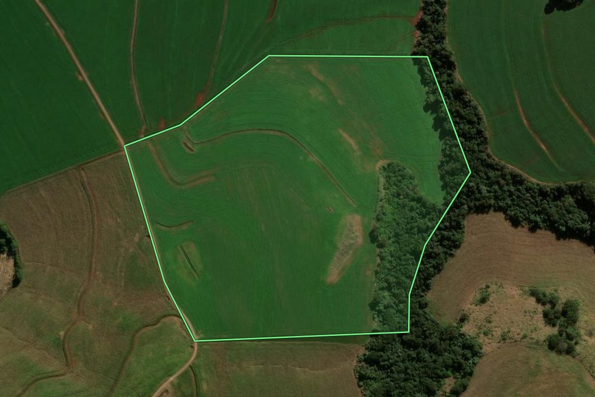 Imagem de satélite do imóvel rural em Faxinal (PR), com o contorno declarado no CAR desenhado por cima.