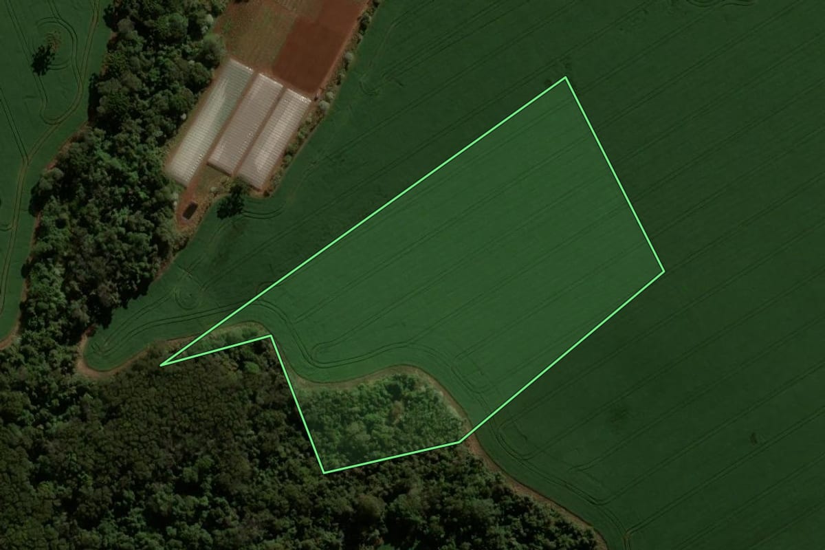 Imagem de satélite do imóvel rural em Faxinal (PR), com o contorno declarado no CAR desenhado por cima.