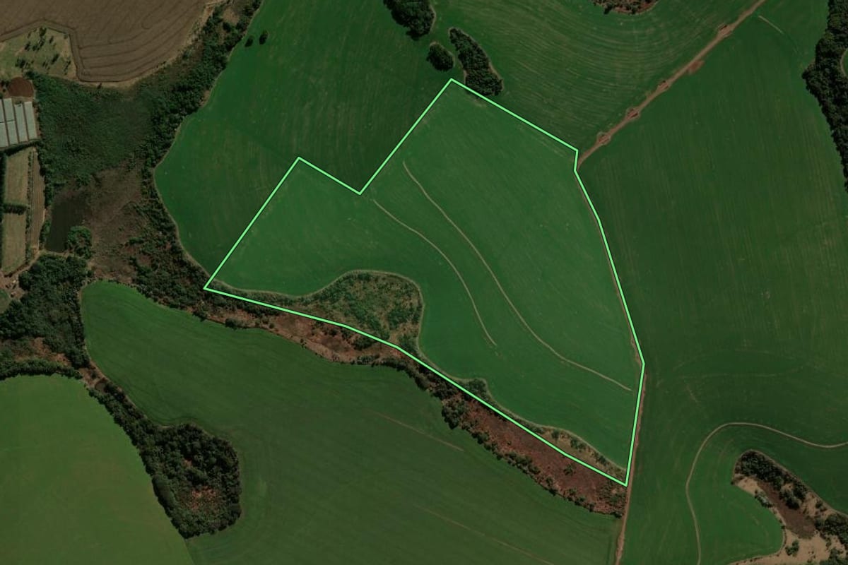 Imagem de satélite do imóvel rural em Faxinal (PR), com o contorno declarado no CAR desenhado por cima.