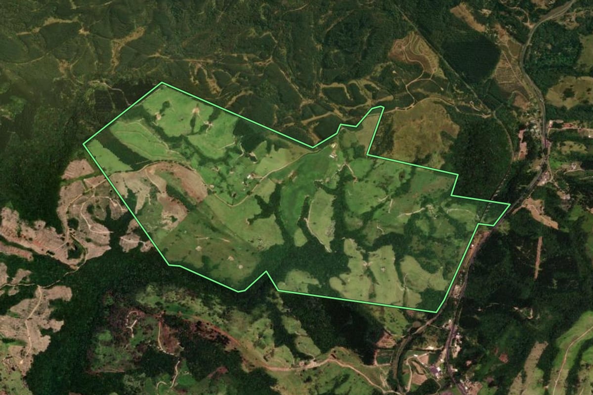Imagem de satélite do imóvel rural em Faxinal (PR), com o contorno declarado no CAR desenhado por cima.