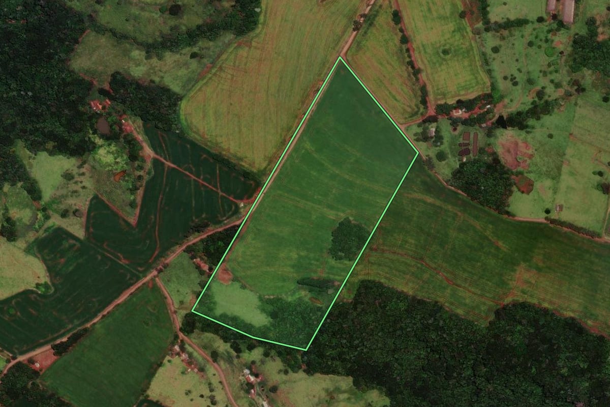Imagem de satélite do imóvel rural em Faxinal (PR), com o contorno declarado no CAR desenhado por cima.