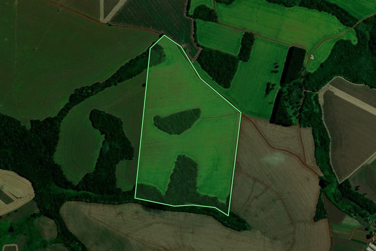Imagem de satélite do imóvel rural em Faxinal (PR), com o contorno declarado no CAR desenhado por cima.