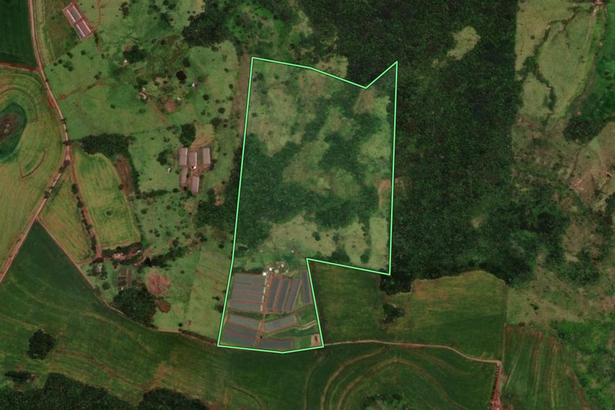Imagem de satélite do imóvel rural em Faxinal (PR), com o contorno declarado no CAR desenhado por cima.
