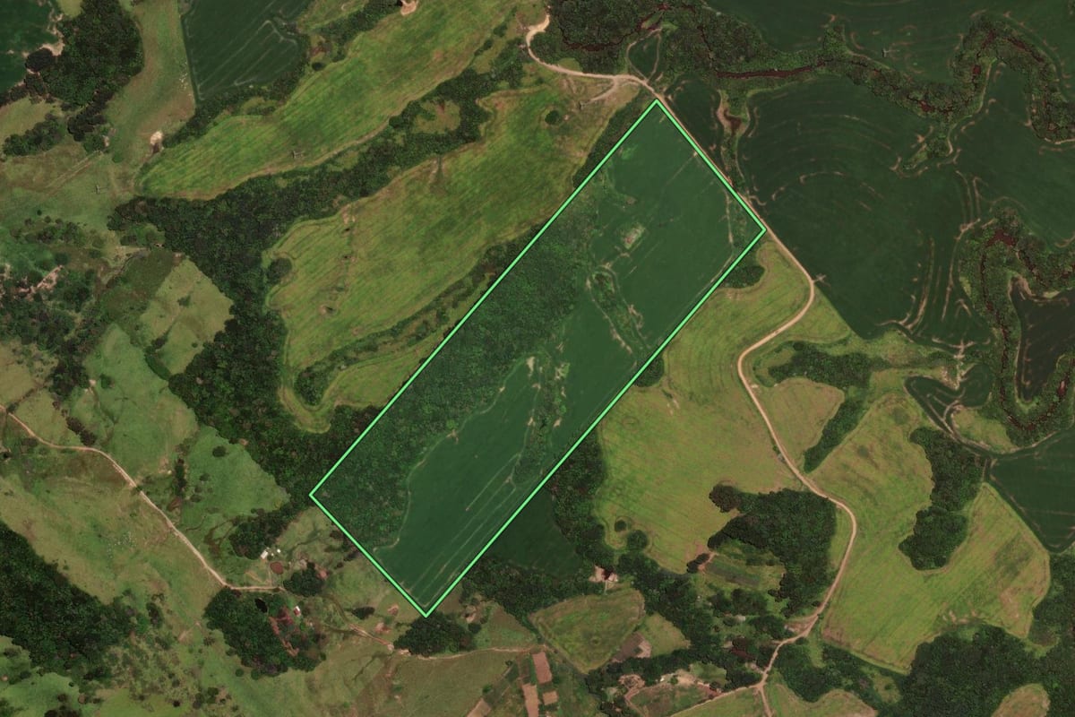 Imagem de satélite do imóvel rural em Faxinal (PR), com o contorno declarado no CAR desenhado por cima.