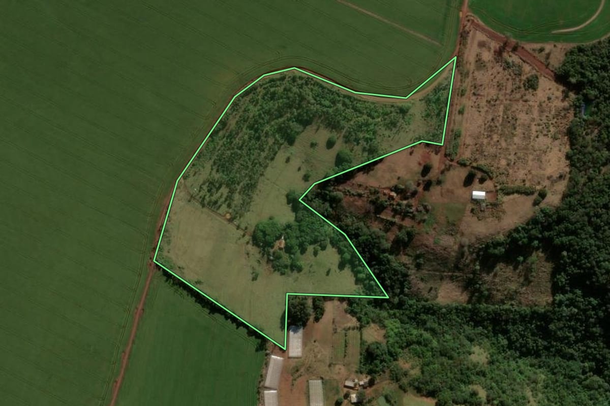 Imagem de satélite do imóvel rural em Faxinal (PR), com o contorno declarado no CAR desenhado por cima.